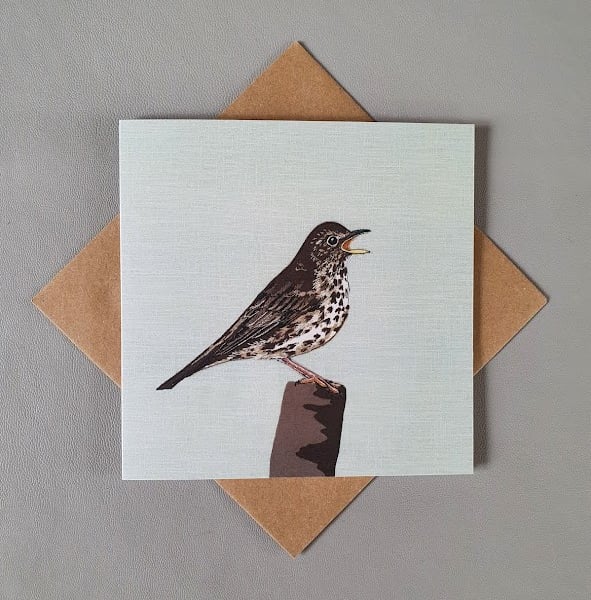 Song Thrush card, blank