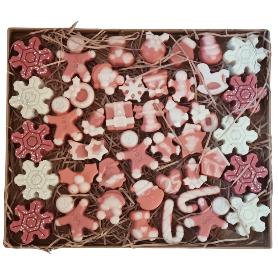 Christmas Scent Soy Wax Melt Gift Box Cranberry Orange and Cinnamon Fragrance 