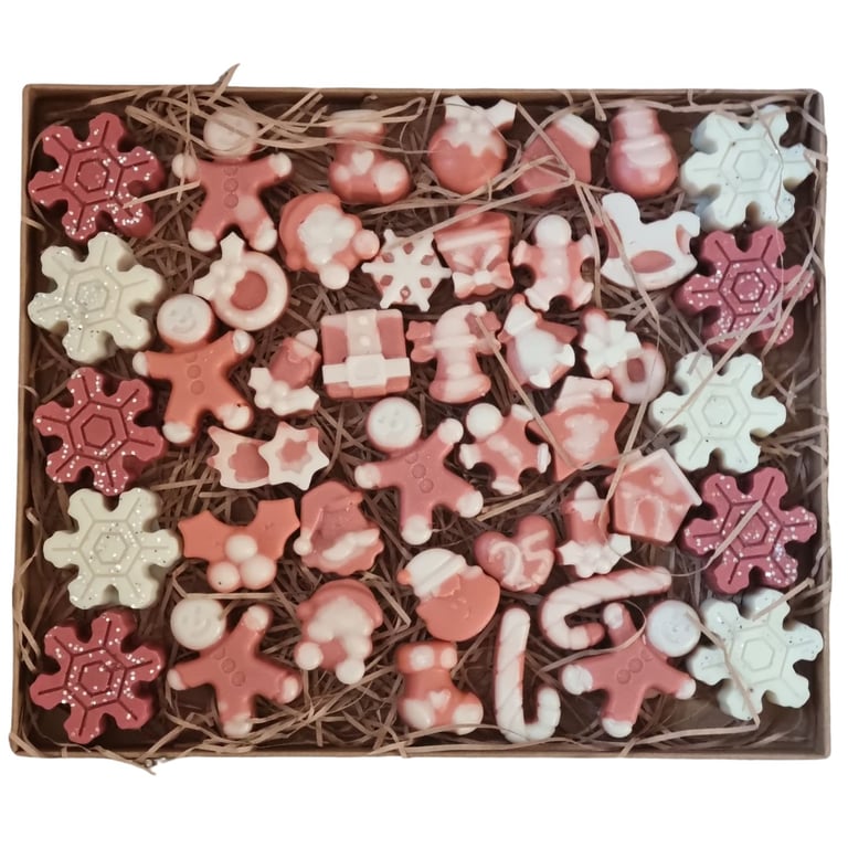 Christmas Scent Soy Wax Melt Gift Box Cranberry Orange and Cinnamon Fragrance 