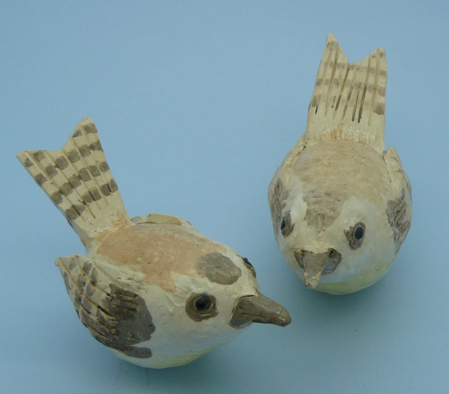 Clay Wren birds