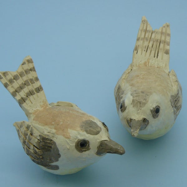 Clay Wren birds