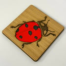 Ladybird Coaster