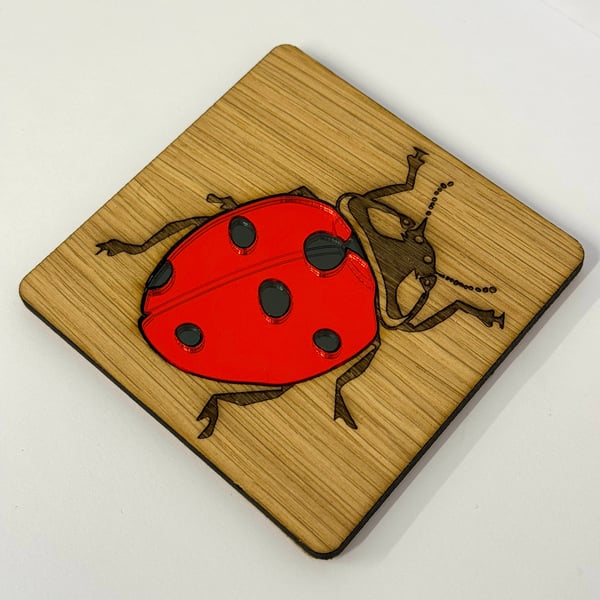 Ladybird Coaster