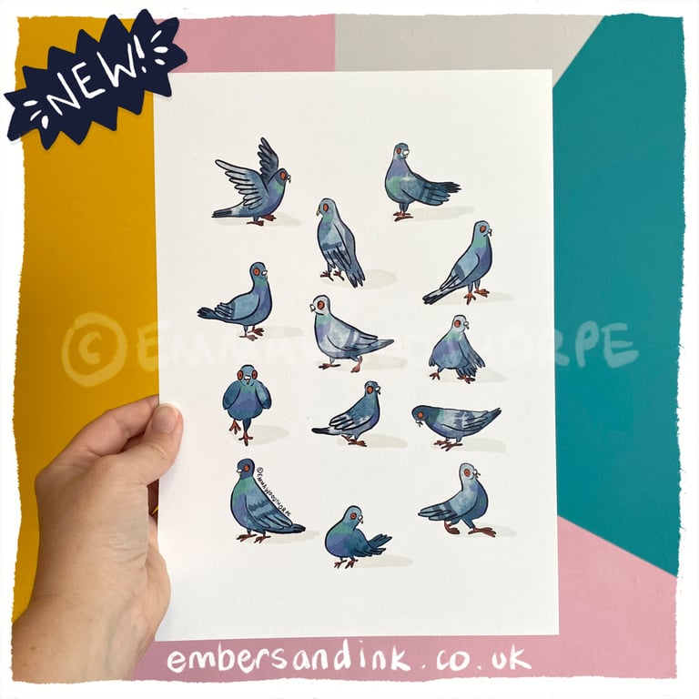Pigeons A4 Poster