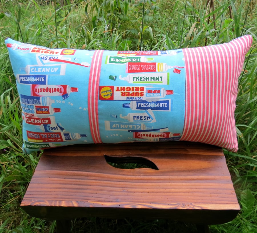 SALE!  A quirky toothpaste themed cushion complete with cushion pad.