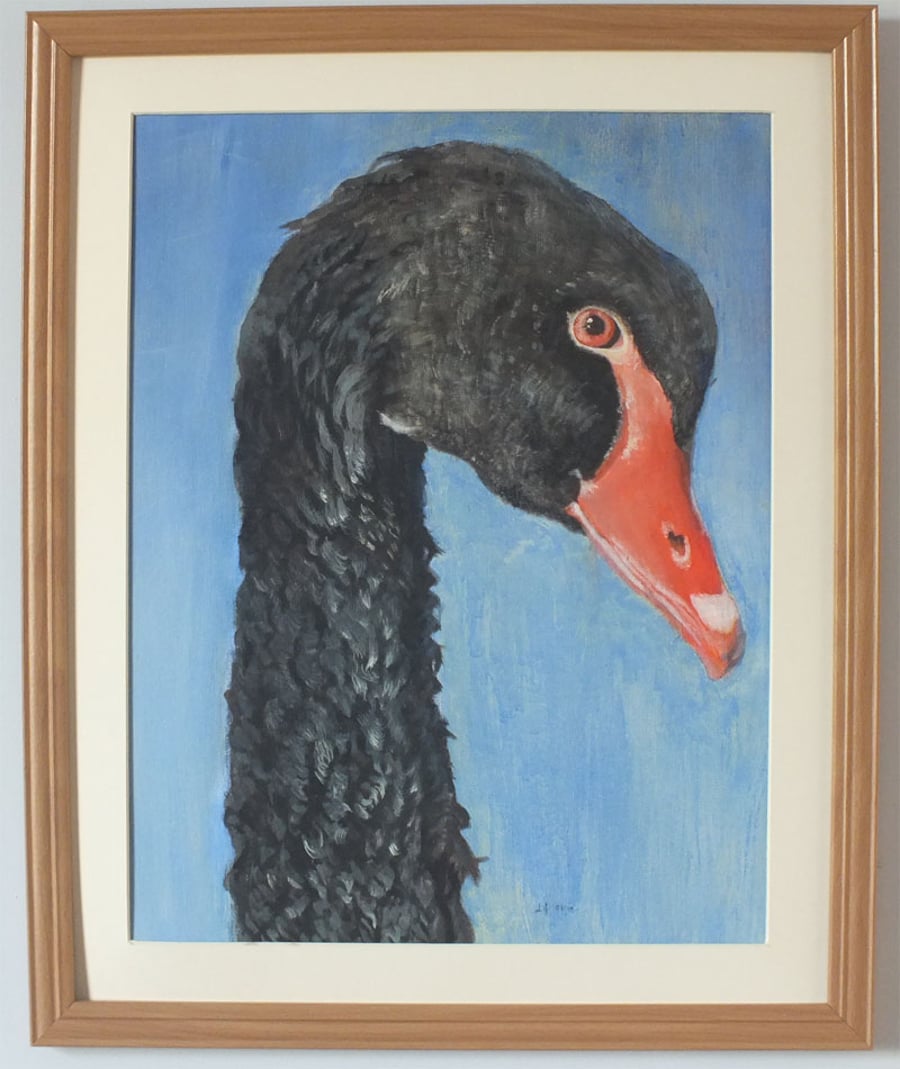 Original artwork - Black swan in Oils
