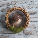 Needlefelted wren in mini vine wreath home decoration 