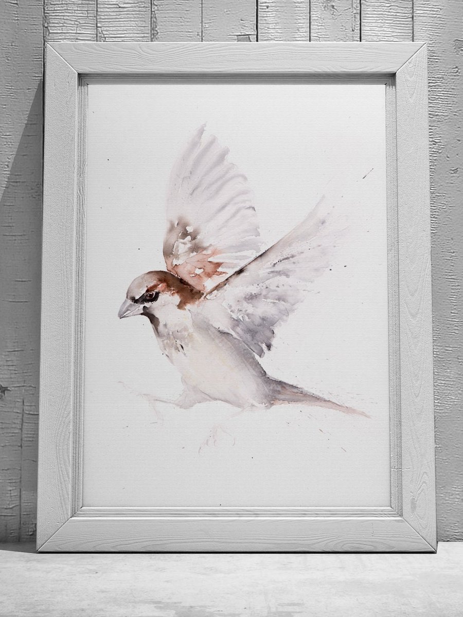 Sparrow Watercolour Painting: Hand-Signed Limited Edition Print by Syman Kaye