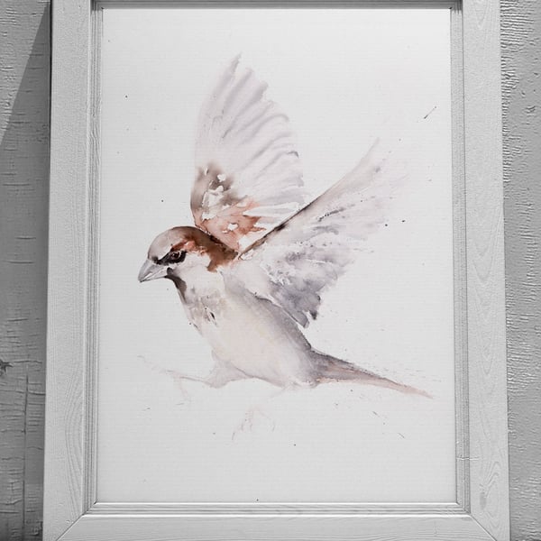 Sparrow Watercolour Painting: Hand-Signed Limited Edition Print by Syman Kaye