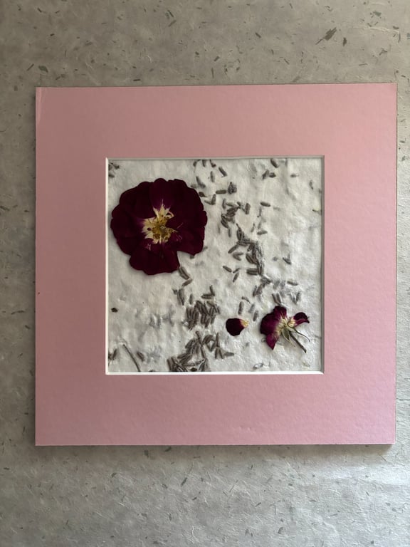 Original Pressed Flower Art with Pink Mount, Handmade Paper