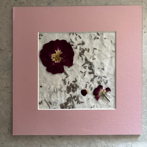 Original Pressed Flower Art with Pink Mount, Handmade Paper