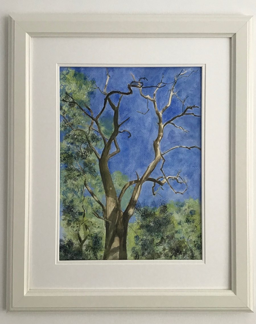Jagged Tree - Original Watercolour Painting 