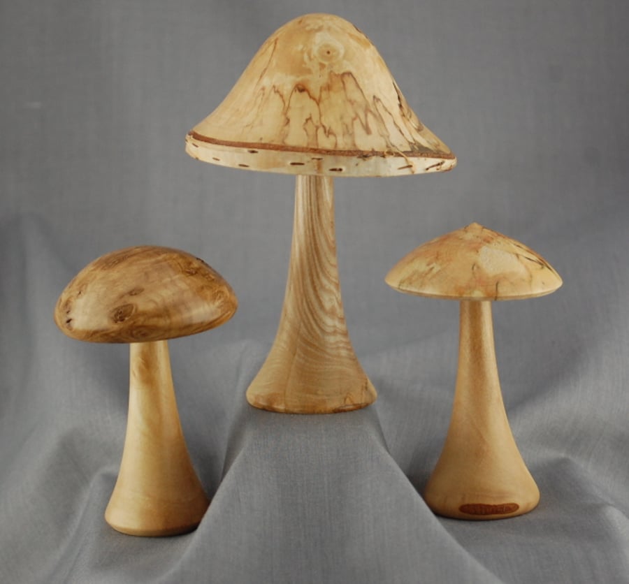 Fungi for Collectors