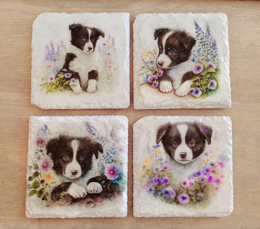 Decoupage Slate Border Collie Coasters