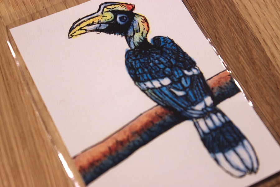 Great Hornbill ACEO Print - Mini Wildlife Art Print, Free UK Post