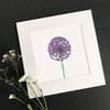 'Allium' Hand Finished Mounted Print