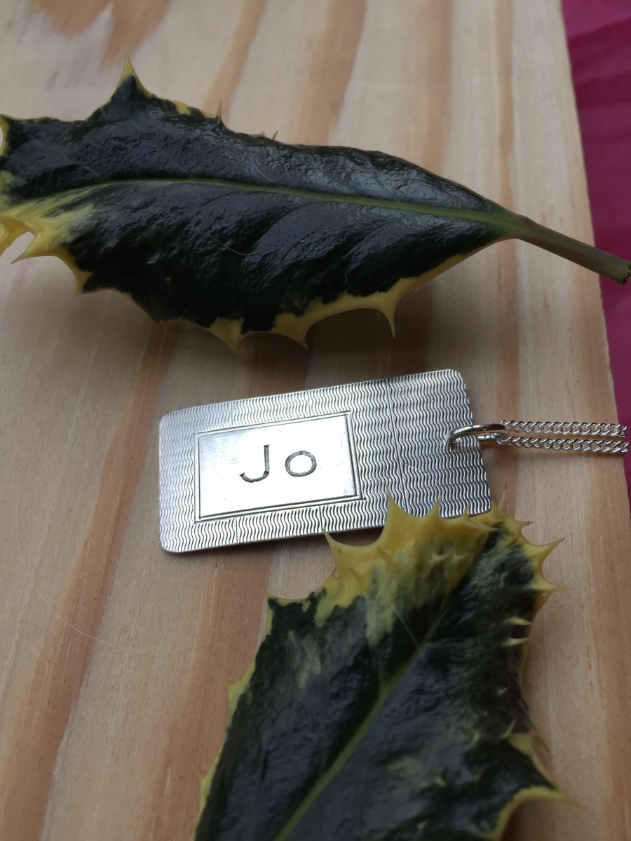 Silver 'Jo' dog tag necklace