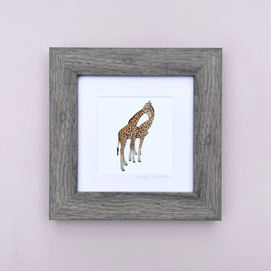 'Giraffes' 5" x 5" Framed Print