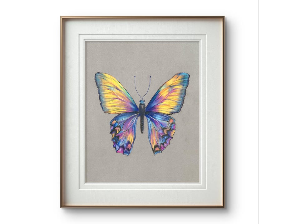 Colourful Butterfly Print - Originally drawn with pastel pencils
