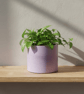 Large Lilac Round Plant Pot 15 cm, Handmade Indoor Planter - Image 1