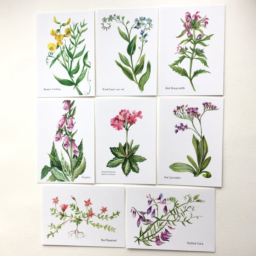 5 floral watercolour postcards PACK 1
