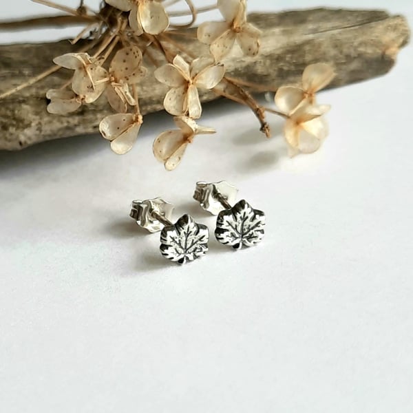 Maple Leaf Stud Earrings - Oxidised Fine Silver