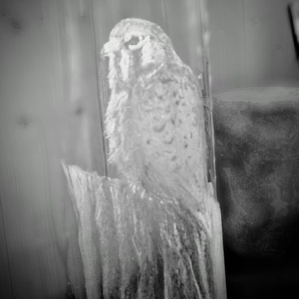 Falcon on a glass vase