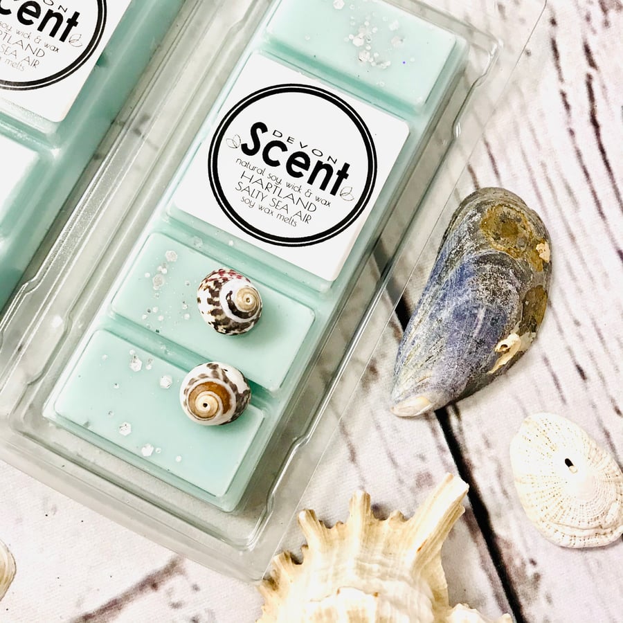 Hartland Salty Sea Air