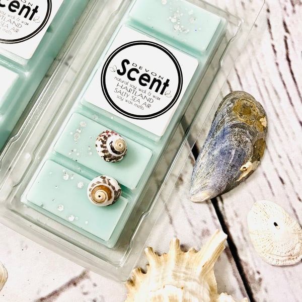 Hartland Salty Sea Air