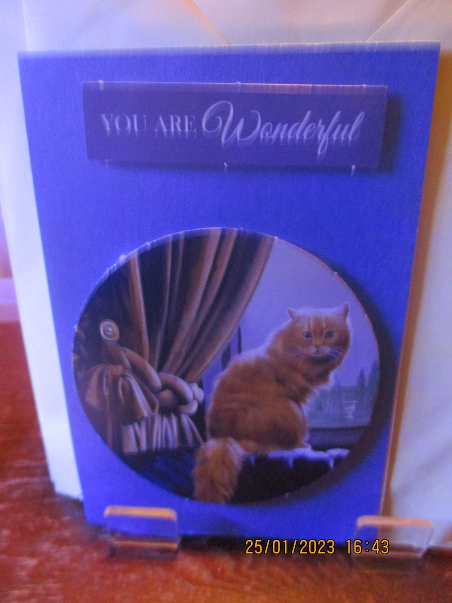 You are Wonderful Cat Card