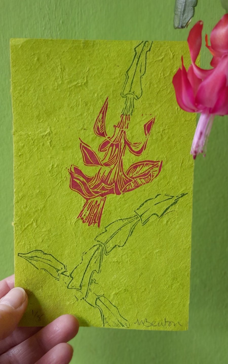 'Christmas Cactus' Lino Print on Lime