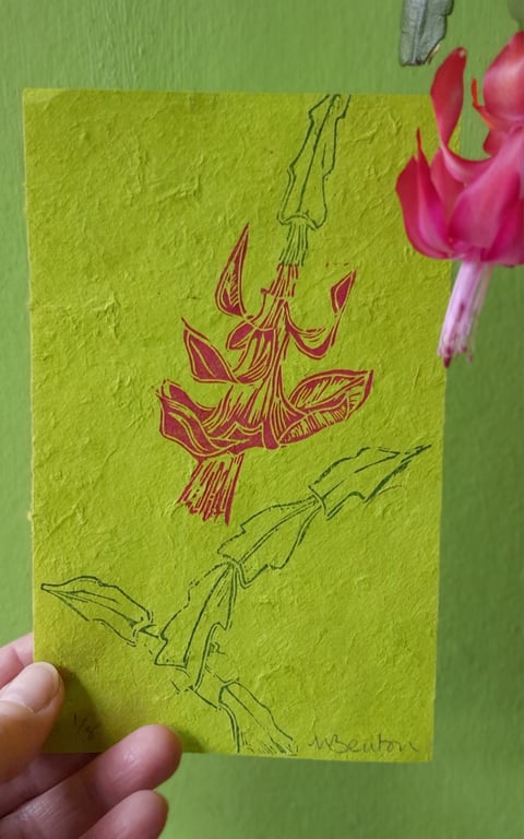 'Christmas Cactus' Lino Print on Lime