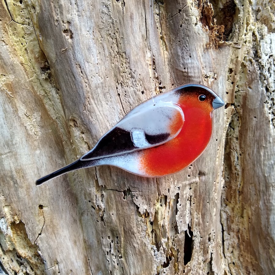 Fused glass bullfinch