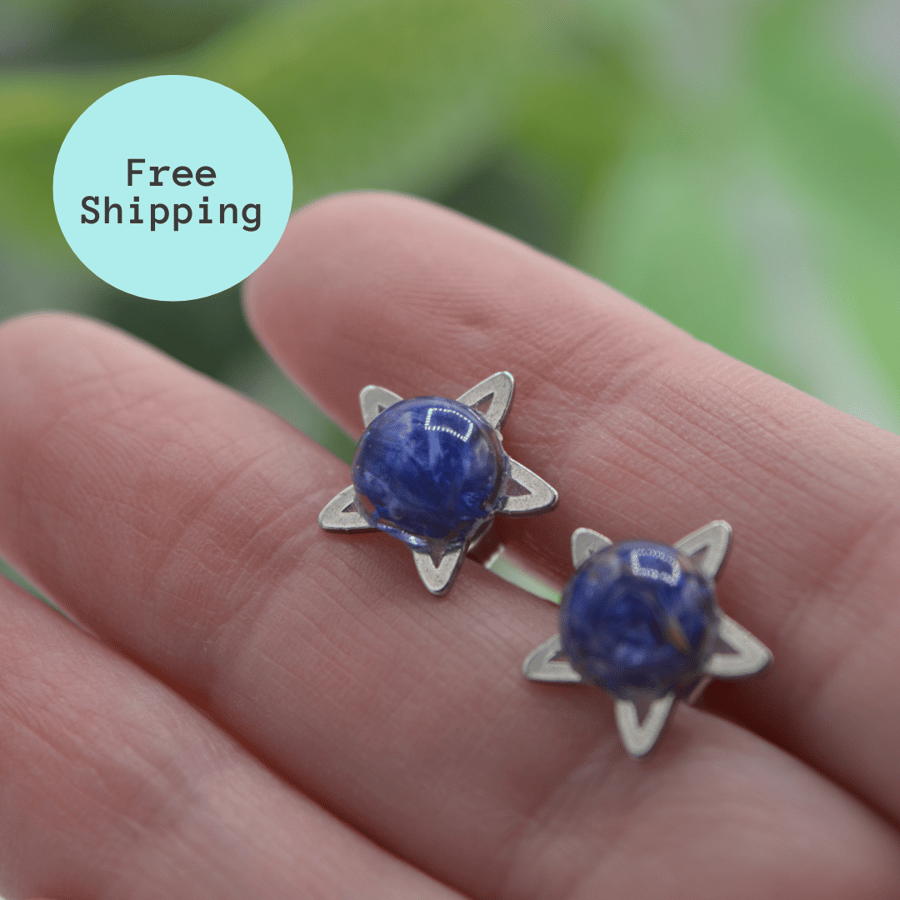 Blue Cornflower Petal Star Stud Earrings - Free Postage