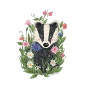 Ellie Bednall Illustration