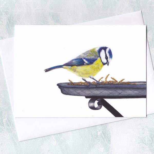 Blue Tit Greetings Card, Garden Bird Illustration