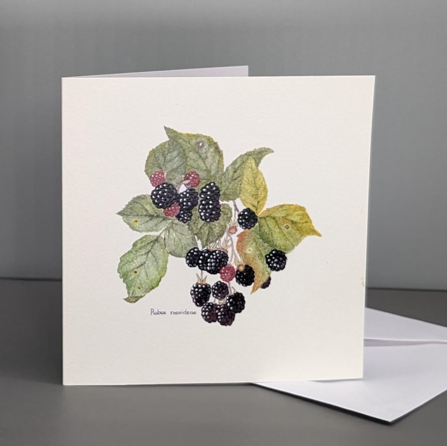 Brambles (Blackberries) greetings card.