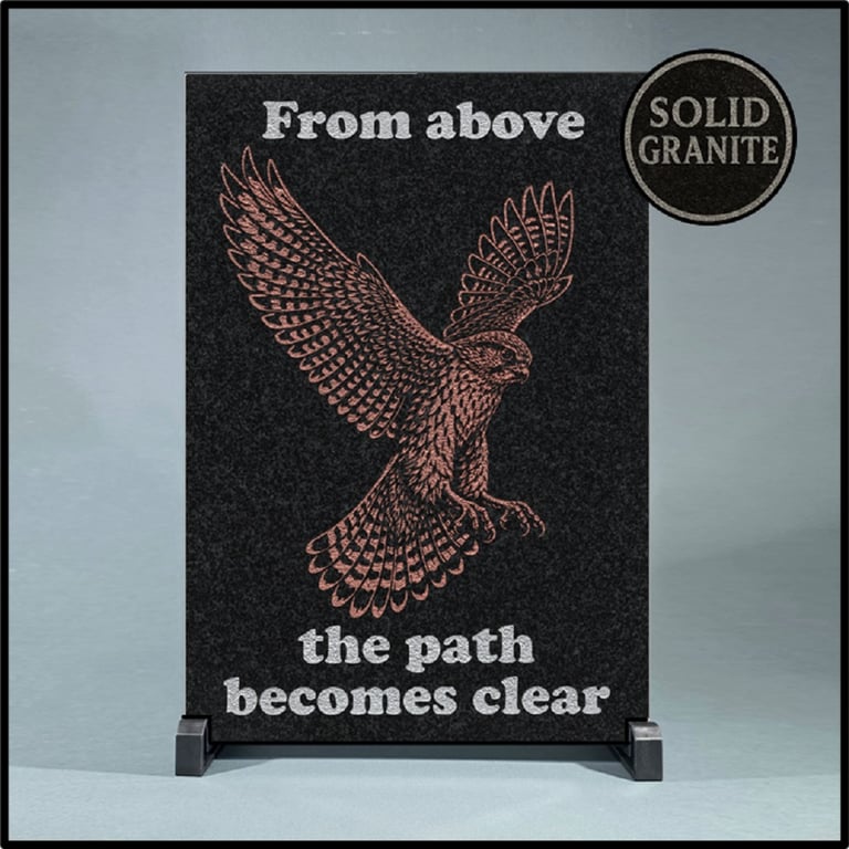 From Above …Nature Wisdom (Hawk)