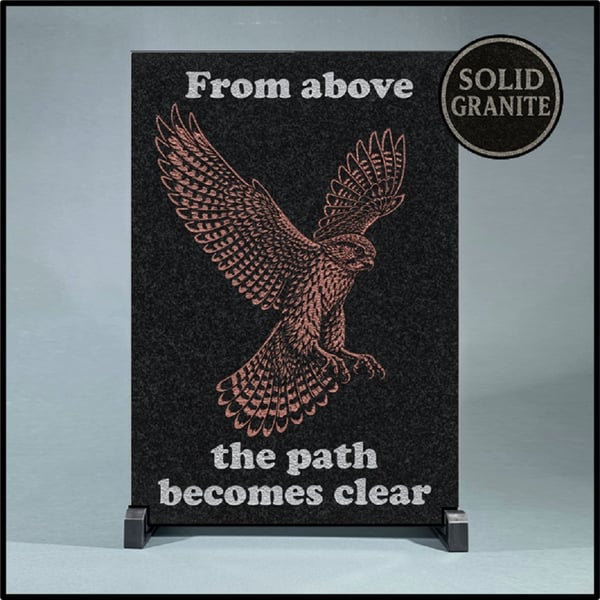 From Above …Nature Wisdom (Hawk)