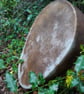 The Shaman's Horse – 19"x14" Sacred Oval Drum for Transformation - Image 3