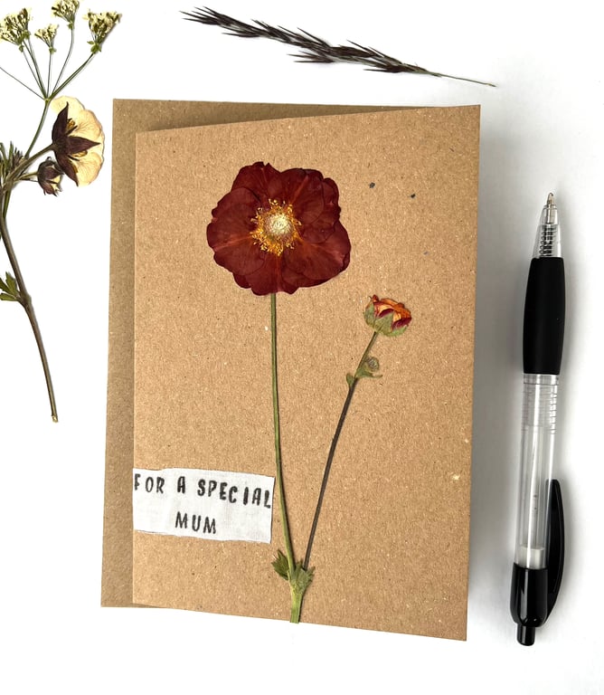 Handmade Mother's Day Card, Real Pressed Flower, Geum, Birthday Greeting Card
