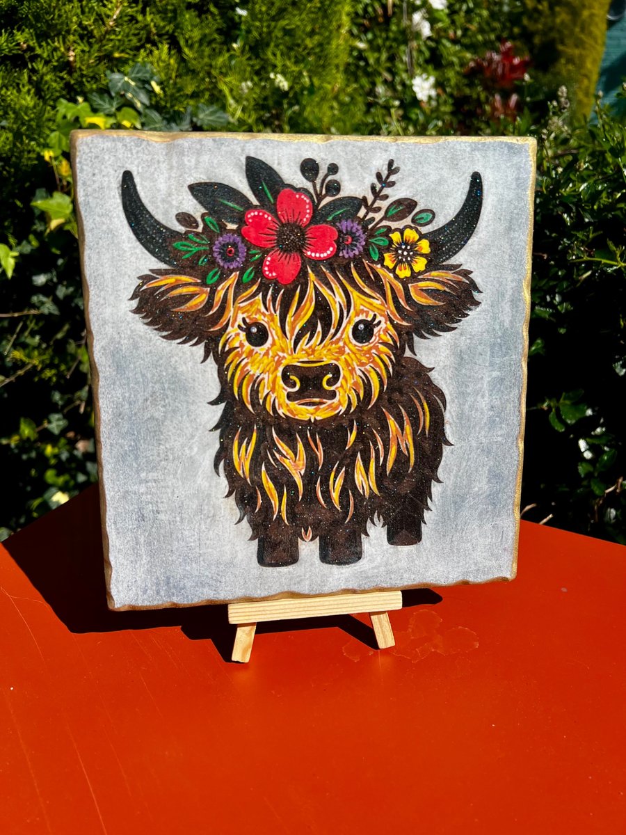  Baby Highland Cow Wooden Plaque – Bespoke Colour Splash Wall Art – Rustic Anima