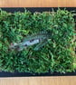 Framed Forest Vignette (SOLD) - Image 2