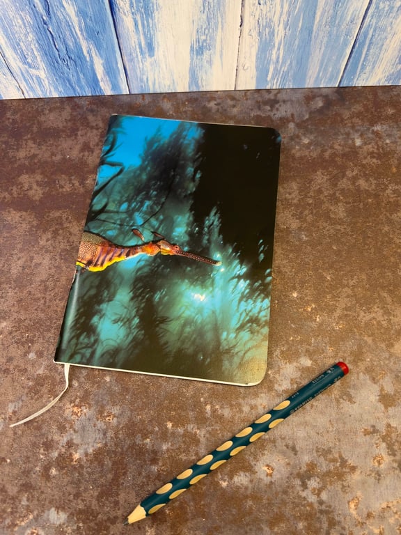 Notebook, Marine themed, A5 (ish), made from up-cycled and recycled materials.