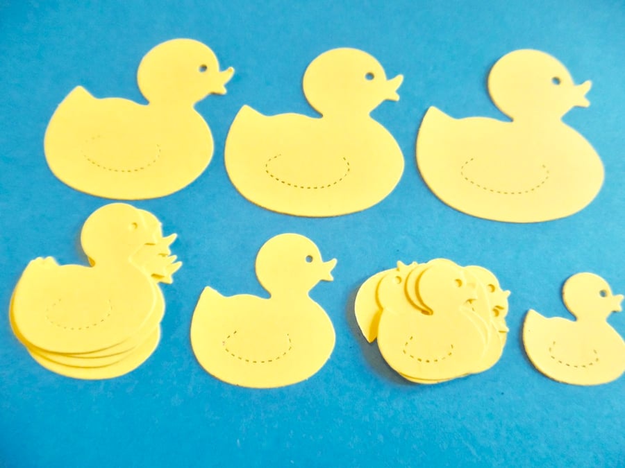 18 x duck  card toppers