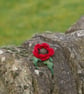 Red Poppy Felt Brooch - Image 1