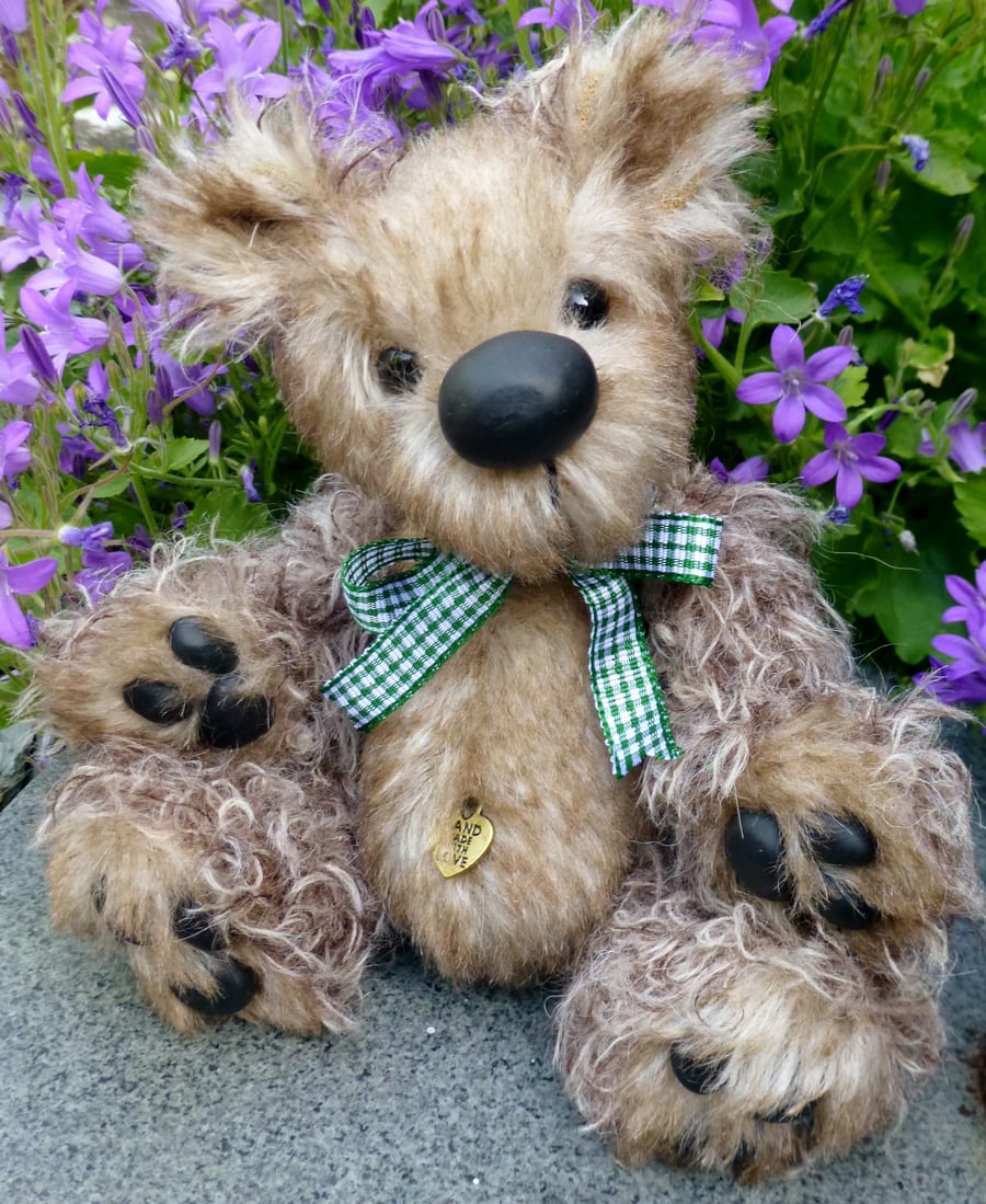 'Pepper'. A bear with a special message in a bottle