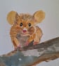 Woodland mouse  - Image 2