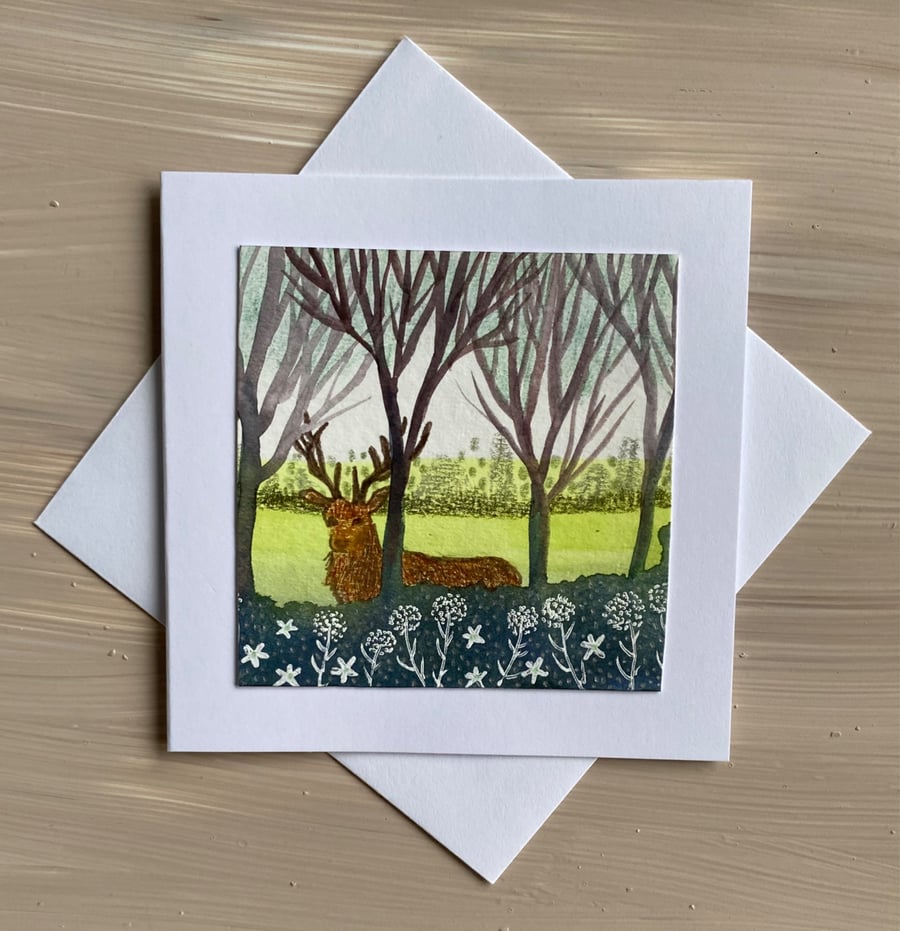 Red deer stag card hand painted