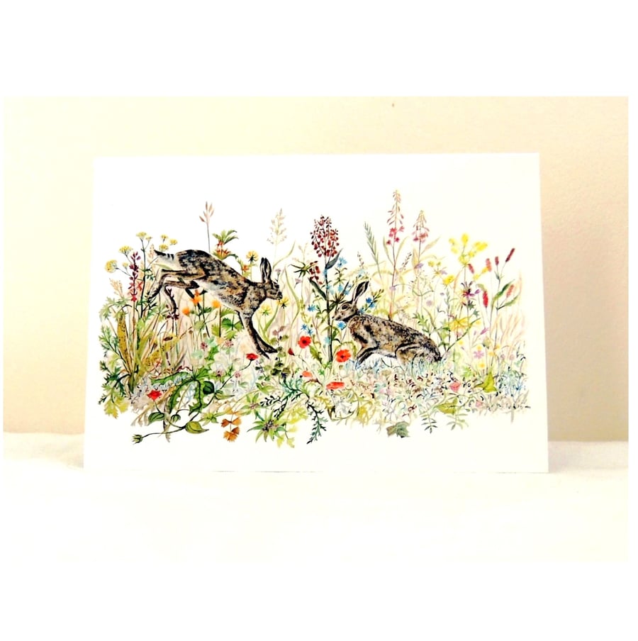 Boxing Hares Watercolour Blank Greeting Card Wildlife Art Card 